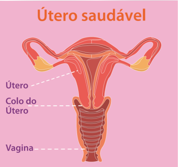 utero-saudavel